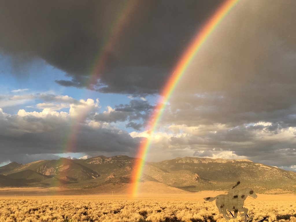 Finding your way through the storm to the rainbow